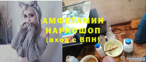 ешки Алексин