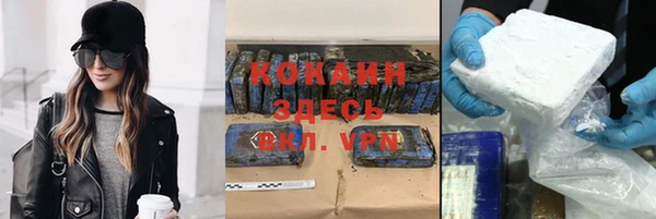 ешки Алексин