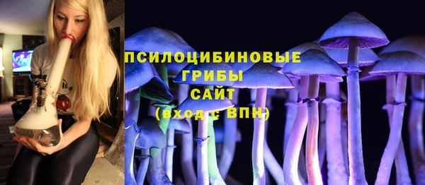 дживик Алексеевка