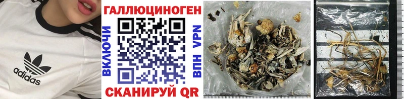 Псилоцибиновые грибы мицелий Кызыл