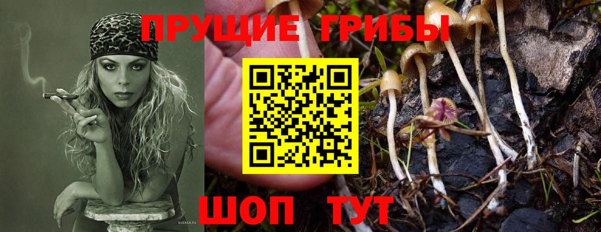 Галлюциногенные грибы мицелий Кызыл